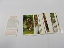 Grandee Cigar Cigarette Cards British Butterflies 1983 Complete Set 32 picture
