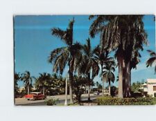 Postcard Famous Palm-Lined Hollywood Boulevard Hollywood-by-the-Sea California picture