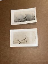 Lot of 2 RPPC Circus Carnival Real PHOTO  OLD POSTCARD TRAPEZE PERFORMER IOWA ? picture