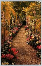Postcard Longwood Gardens Kennett Square Pennsylvania Pa Garden Flower Vintage picture