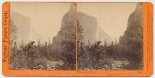 YOSEMITE SV - Tutocanula Pass - CE Watkins 1880s picture