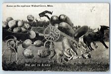 Walnut Grove Minnesota Postcard Exaggerated Potatoes Car Crash Scene On The Road picture