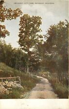 Petoskey Michigan~Dirt Driveway in City Park~Rustic Fence 1910 Alton & Cook PC picture