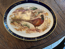 Set of Vintage Falcon Ware Weatherby Hanley England Royal Oval Plate's Pheasants picture