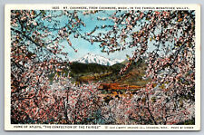 Vintage Postcard WA Cashmere Wenatchee Valley Mt. Cashmere Apple Blossom c1929 picture