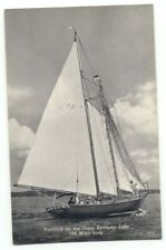 Yachting On Great Kentucky Lake Sailboat Postcard picture