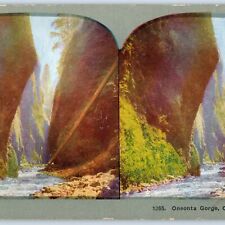 c1900s Oneonta Gorge, Oregon Columbia River Waterfall Litho Photo Stereoview V46 picture