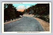 Petersburg NY-New York, Down Western Slope Taconic Trail Vintage Postcard picture