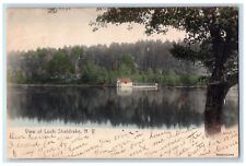 1906 Handcolored View Of Loch Sheldrake Dock New York NY Posted Postcard picture