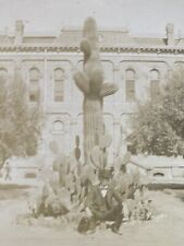 Phoenix Arizona AZ City Hall Cactus 1900 Homemade Antique Stereoview SV Photo picture