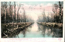 1906 IRON MOUNTAIN RAILWAY Canal through Swamp Lands MO POSTCARD picture
