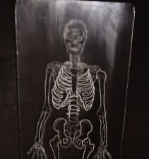 Outsider Art Skeleton Hand Etched Glass 10
