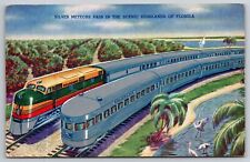 Postcard Seaboard Railway's Silver Meteors Pass Scenic Highlands 0f Florida picture