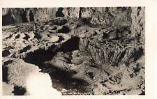 RPPC Carlsbad Cave National Monument, Lily Pads, Carlsbad New Mexico picture