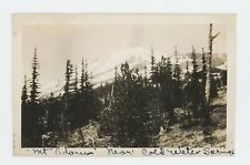 Vintage Photo Gifford Pinchot NTL. Forest Mt. Adams Cold Water Springs WA 1930s picture