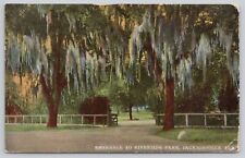 Postcard Entrance Riverside Park Jacksonville Florida c.1912 picture