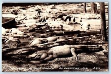 St. Augustine FL Postcard RPPC Photo Alligator Ostrich Farm c1940's Vintage picture