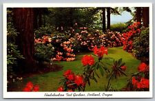 Rhododendron Test Gardens Portland Oregon Flowers Floral Historic VNG Postcard picture