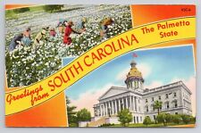 Greetings From South Carolina The Palmetto State Chrome Postcard 1557 picture