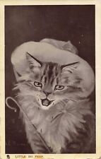Little Bo Peep A/S Barnes Cute Cat Kitten 1907 Postcard picture