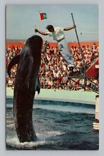 Postcard Bimbo The Whale Marineland of the Pacific California picture