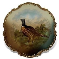 Vintage Royal Munich Z.S. & CO Pheasant Bird Gold Rim Cabinet Wall Plate 10” picture