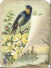 Antique Trade Card Franco American Hygenic Co Chicago IL Bird Flowers  picture