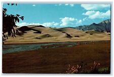 c1960's Great Sand Dune National Monument San Luis Valley Colorado CO Postcard picture