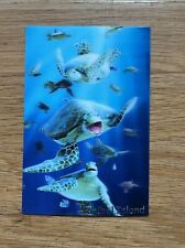 TURTLES -Postcard 3D and Motion Lenticular Greeting Card picture