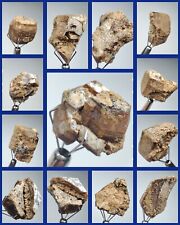 120-gm Rare Parisite-(Ce) Terminated Crystals Specimens (12 PCs Lot) - Zagi Mnts picture