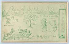 St. Johnsbury Vermont VT Postcard Green Mountains Maple Sugar Sketch c1910's picture