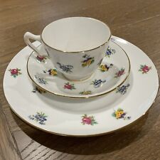 Fine Bone China, Staffordshire England, Cup, Saucer & Plate, Multi-color Flowers picture