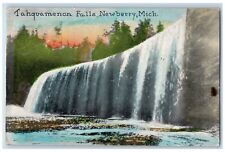 c1940's Tahquamenon Falls 1941 Newberry Michigan MI Vintage Posted Postcard picture