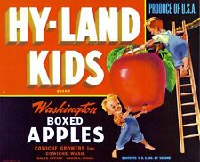 Original 1950s Hy-Land Kids apple crate label Cowiche Growers Yakima Wash boys picture