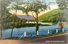 Postcard Allegheny River Warren, PA Early 1900s Linen Unposted Scenic Streetview picture