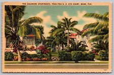Sagamore Apartments Miami Florida Street View Palms Tropical WOB PM VNG Postcard picture