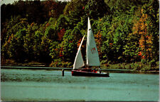 Vtg Sailboat on Raystown Lake Huntingdon County Pennsylvania PA Unused Postcard picture