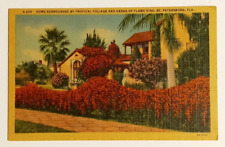 Flame Vine Hedge Home Saint Petersburg Florida FL Curt Teich Linen Postcard 1934 picture