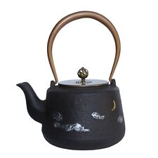 Handmade Quality Asian Heavy Cast Iron Teapot Shape Display Art ws260 picture