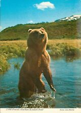 Postcard Giant Alaskan Kodiak Brown Bear in Alaska, AK picture