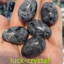 1''Natural Black Hornblende Quartz Hand-carved Crystal Egg Reiki Healing5pc,35v2 picture