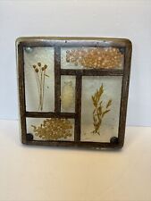 Vtg Seed & Grain Resin Trivet Mid-Century 1970s Acrylic Collectable  picture