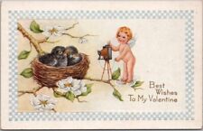 c1910s VALENTINE'S DAY Postcard Naked Angel with CAMERA / Baby Crows in Nest picture