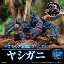 Ikimono Encyclopedia Premium Coconut Crab pre-order limited from Japan New picture