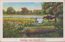 Postcard Greetings from Selden NY 1936 picture