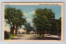 Portland ME-Maine, Western Promenade, Antique, Vintage Postcard picture