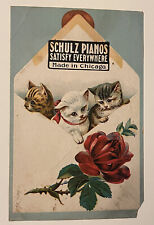 Chicago IL Piano Advertising Postcard Kittens Otto Grau Co 1911 Schulz Pianos picture