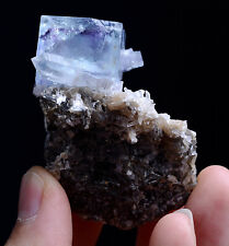 51g Natural Phantom Window Purple FLUORITE Mineral Specimen/Yaogangxian China picture