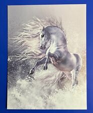 BEAUTIFUL ANDALUSIAN ARABIAN LIPIZZAN HORSE POSTCARD ART PRINT 4 1/4