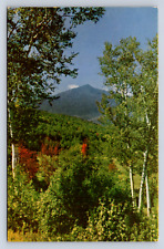 Vintage Postcard Mt Adams from the Glen Pinkham Notch New Hampshire picture